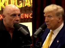 Rogan interview Trump